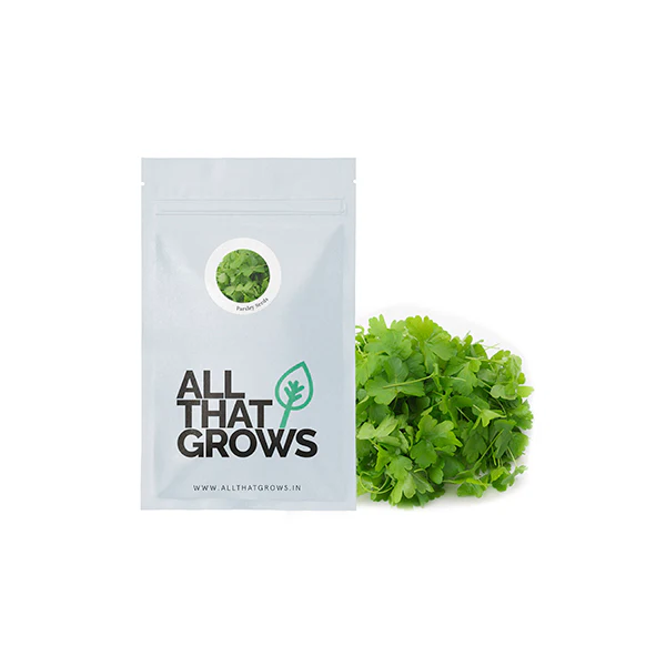 Parsley Seeds - Image 2