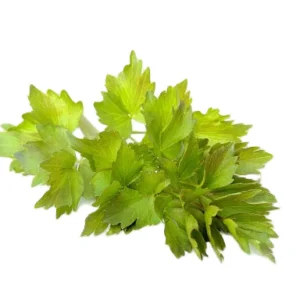 Lovage Seeds