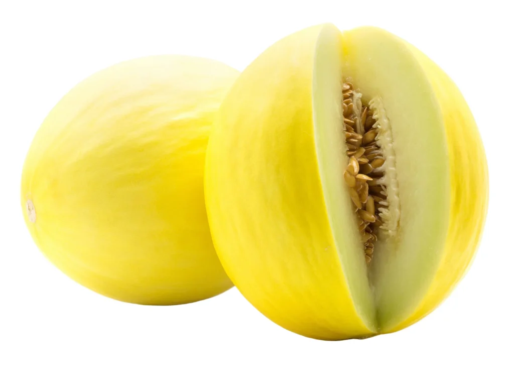 Melon Honeydew Seeds