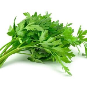 Parsley Seeds