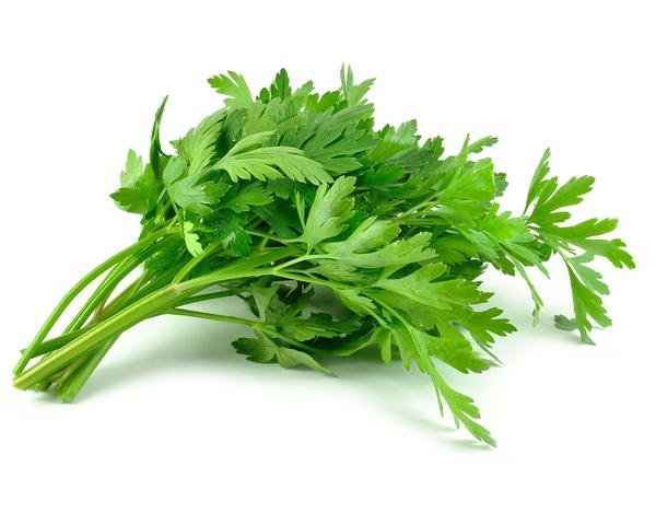 Parsley Seeds