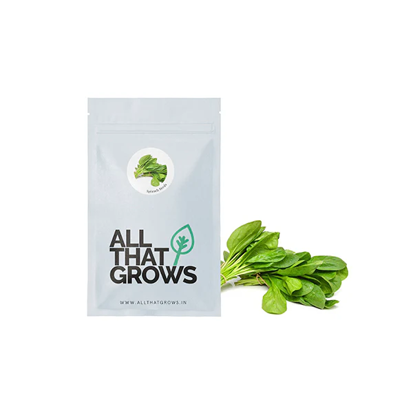 Spinach Seeds - Image 2